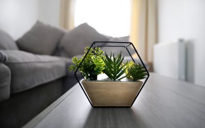 Why using a Professional Photographer for your AirBnb Photography is a game changer !