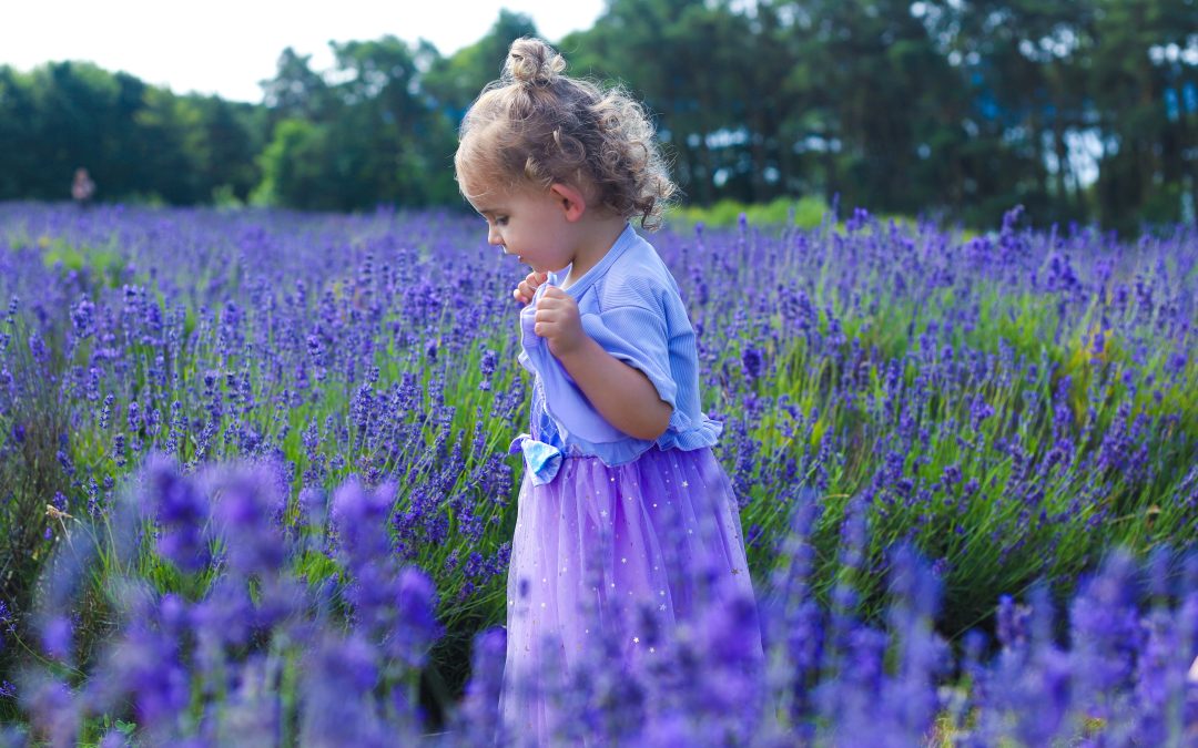 little girl In lavender fields surrounded by purple flowers with purple dress